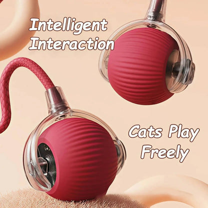 Automatic Rolling Ball Cat &amp; Dog Toy — Rechargeable Smart Pet Toy Horizon