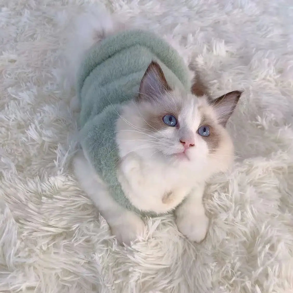 Adorable Autumn and Winter Cat Winter Clothes, Thickened Vest for Warmth, Anti-Fall Design for Puppies, Kittens, and Small Pets