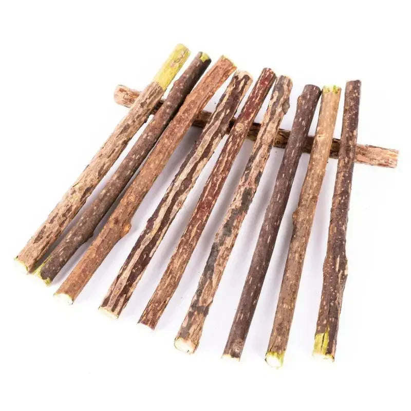 Silvervine Sticks Cat Chews, Natural Teething Toy for Kittens Dental Care Cat Supplies