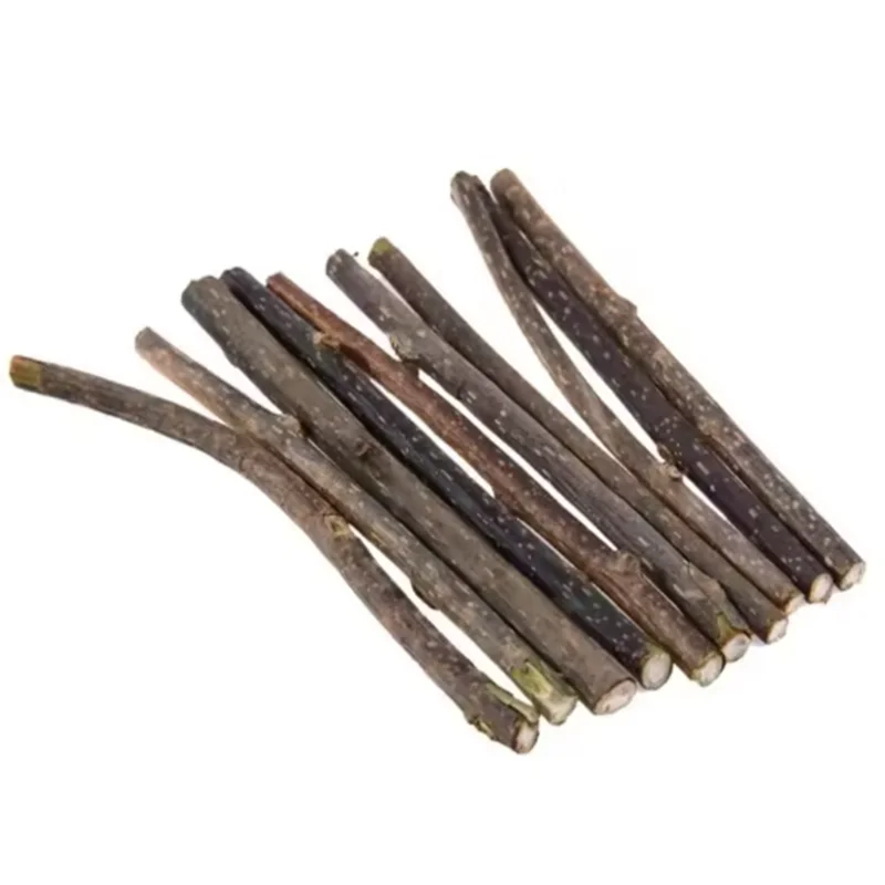 Silvervine Sticks Cat Chews, Natural Teething Toy for Kittens Dental Care Cat Supplies