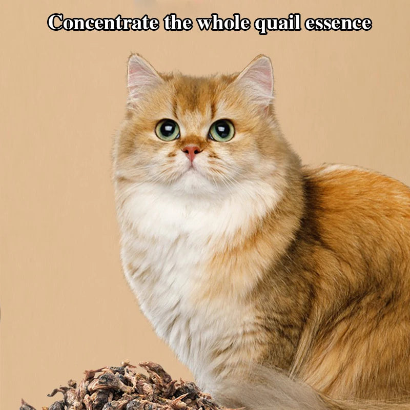 Quail freeze-dried cat snacks kittens calcium supplement molars teeth fattening hair gills pet dried cat food