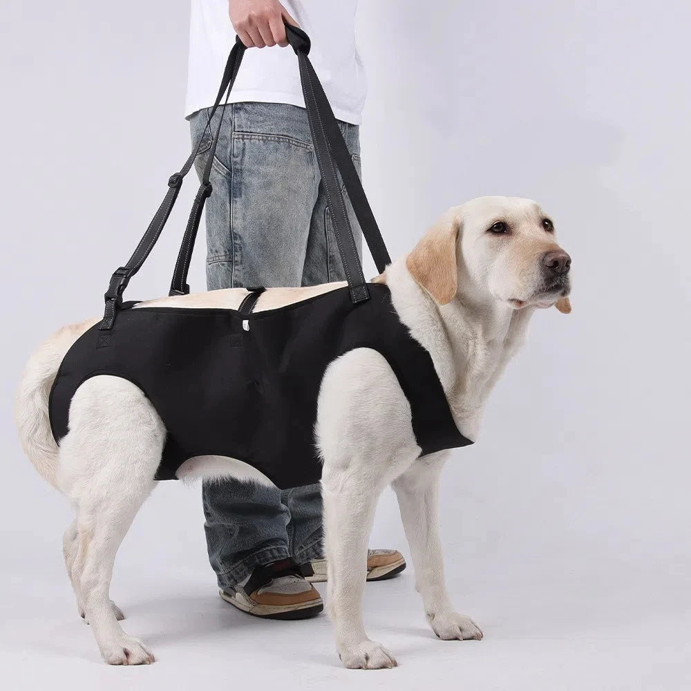 Adjustable Strap Dog Lift Harness Portable Thicken Handle Dog Sling Carrier Soft Lining Legs Support Pet Lifting Vest Elderly