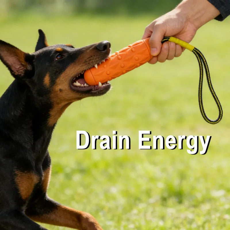 EVA Biting Stick With Rope Colors Dogs Tooth Chew Toy Indestructible Pet Supplies Large Safe Joint Dog Tough Play Toys Resistant