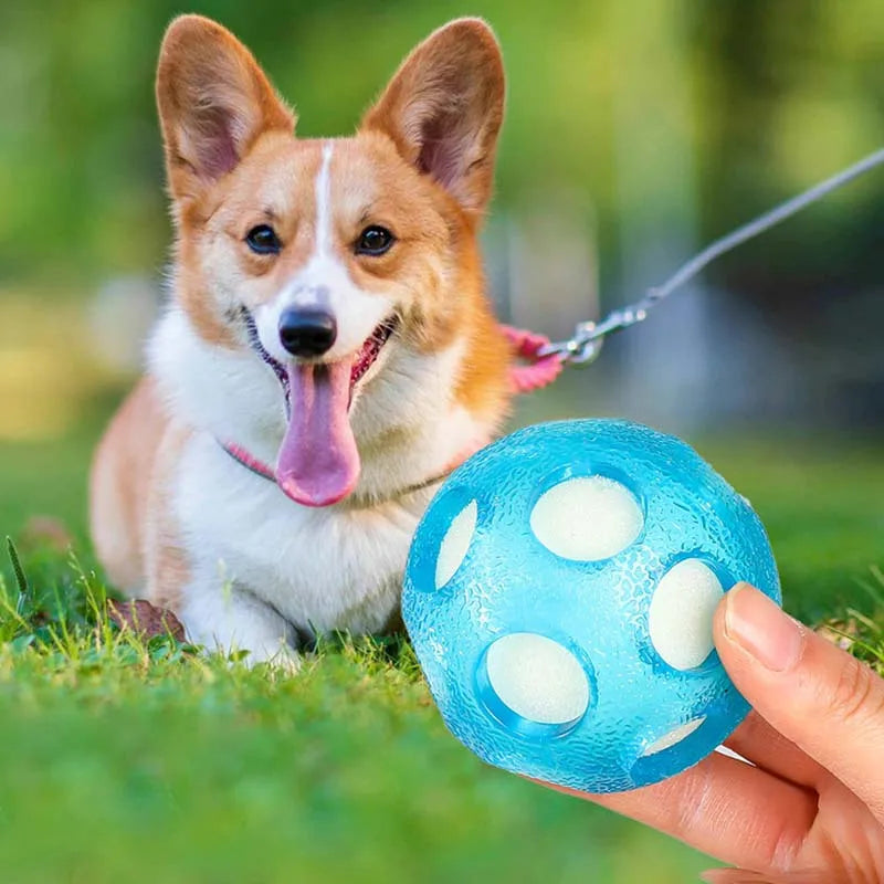 1pc Floating Ocean Ball, Dog Toy Ball Chase Water Play Dog Toy Ball, TPR Interactive Dog Toy Ball Floating Water Ball