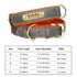 Personalized Leather Dog Collar with Free Engraved Name Horizon