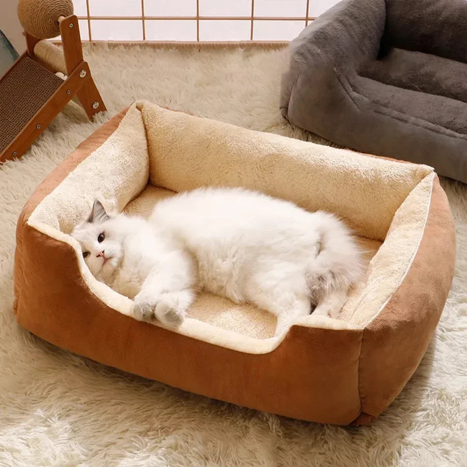 Bed for Cats Pet Products Cushions Kitten Goods Accessories Dog All Houses Supplies Things Accessory Habitats Basket House Beds Horizon