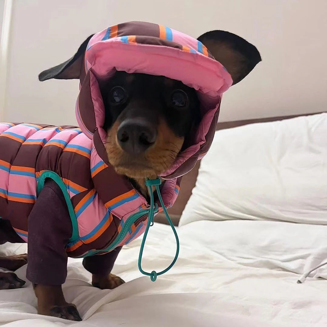 Winter Warm Dog Cotton Coat For Small Medium Puppy Bichon Teddy Rainbow Vest Jacket With Hat Dog Jacket Coat Pet Warm Clothes
