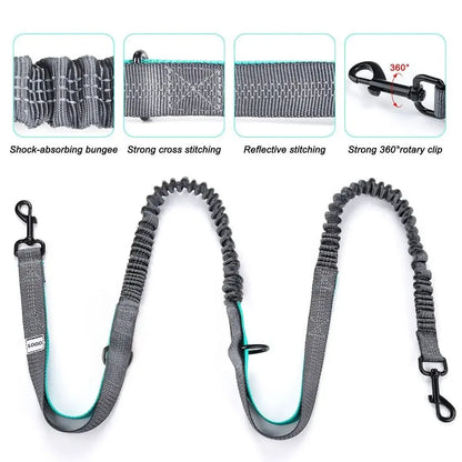 Hands-Free Dog Leash with Waist Belt &amp; Zipper Pouch Horizon