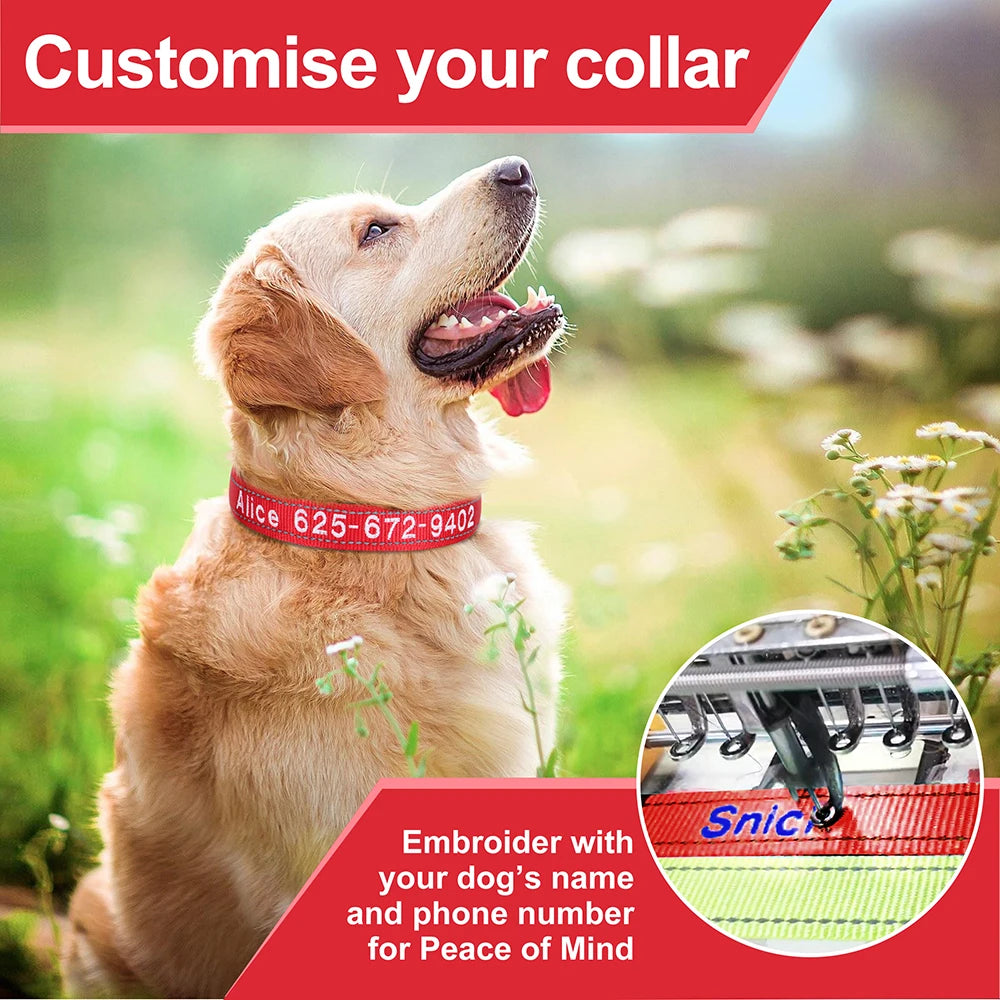 Embroidered Nylon Dog Collar Personalized Puppy Cat Collars Reflective Pet ID Collars DIY Phone Name ID For Small Large Dog Cat
