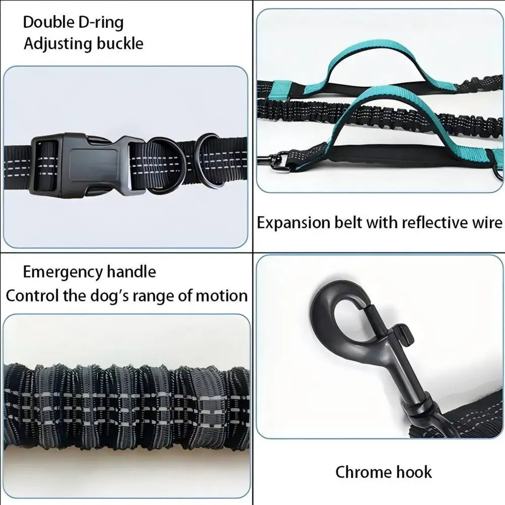 Pet Retractable Belt Leash For Running Reflective Retractable Hand Free Dog Leash with Adjustable Waist Rope For Outdoor Running