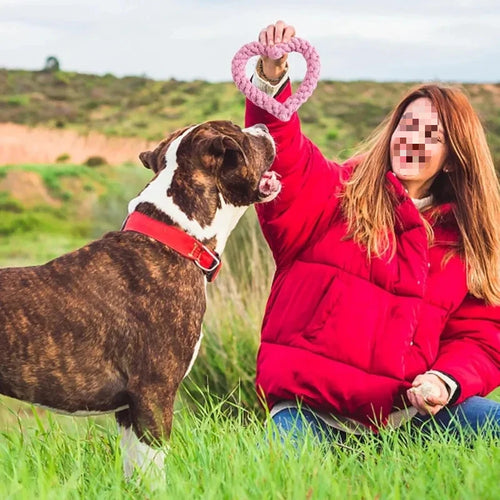 1PC Durable Handwoven Heart-Shaped Dog Chew Toy, Ideal for All Breeds, Teeth Cleaning & Playtime Fun