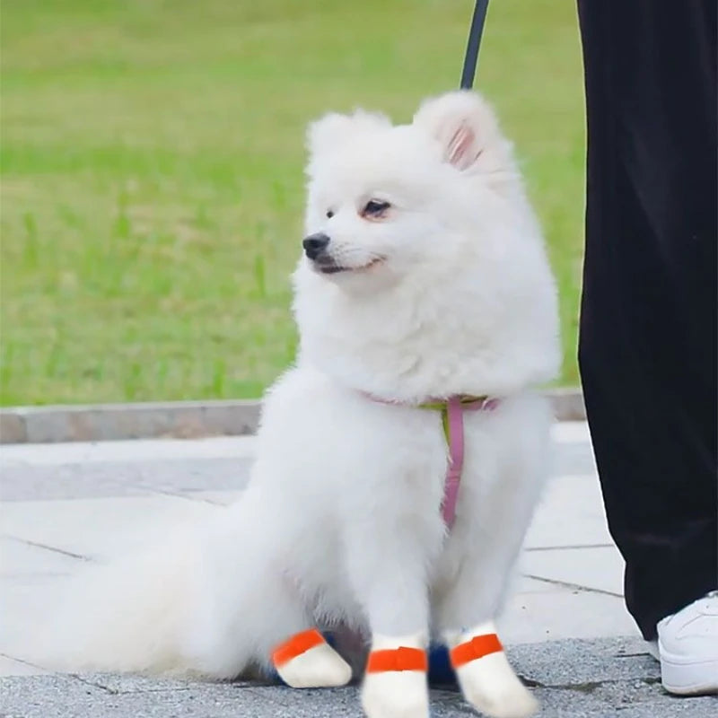 20PC/Lot Pet Disposable Paw Shoes Waterproof Non-woven Fabric Dog Anti-Dirt Shoe Covers Outdoor Dog Walking Small Dog Socks