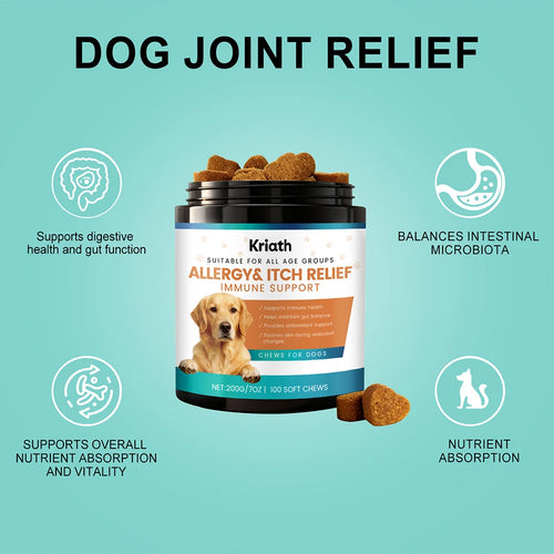 200g Dog Allergy Relief Immune Chews,Itch Relief Skin Coat Supplement Stop Pawlicking,For Picky Eaters & Easy Dosage
