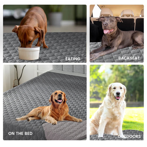100% Double-Sided Reversible Pet Blanket Sofa Couch Furniture Protector Dog Bed Cover for Kids Children Dog Cat