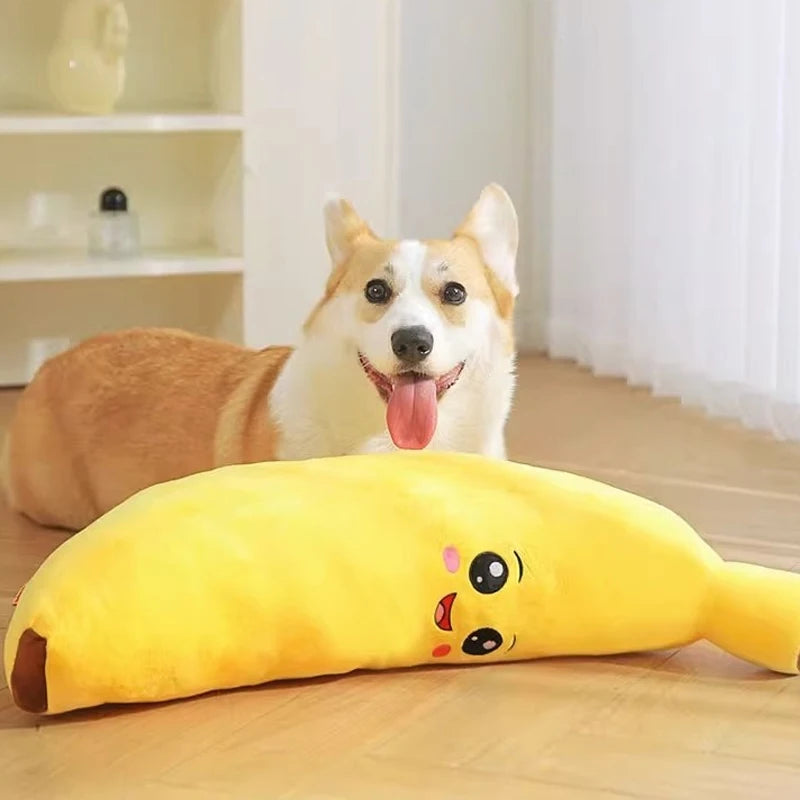HOOPET Interactive Plush Teething Toy for Puppies: Soft, durable, non-toxic chew aid promotes healthy habits and mental stimula