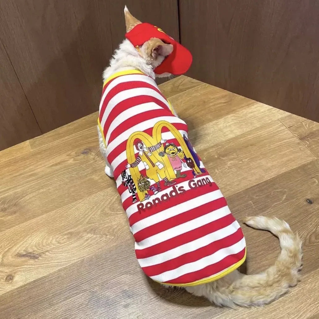 A Set Cat Clothes Funny Costume Convenience Store Employee Cosplay Creative Pet Party Kitten Jumpsuits Novelty Dress Up Costume