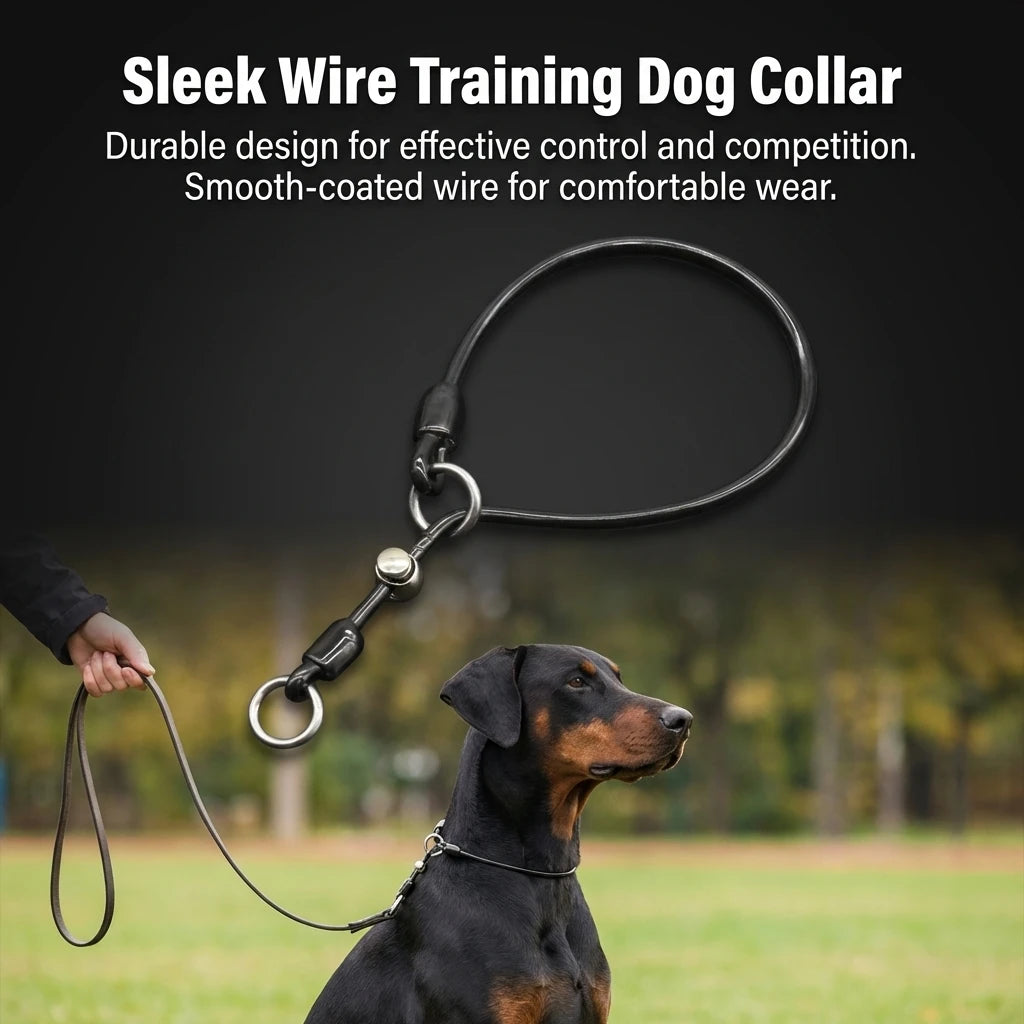 Dog Collar Steel Wire Coated P Rope Anti Explosion Collar Training Use P Rope Collar Suitable For Walking Medium Large Dogs