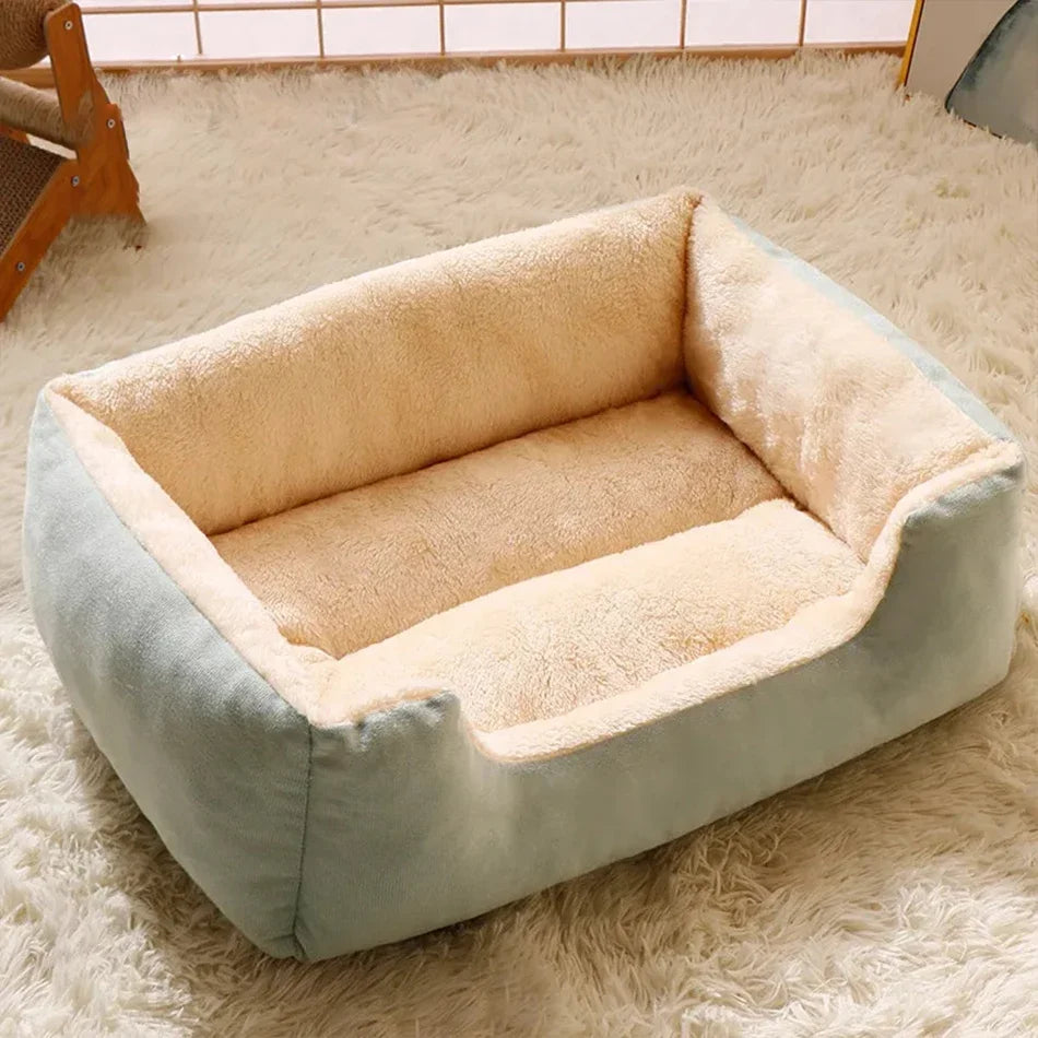 Bed for Cats Pet Products Cushions Kitten Goods Accessories Dog All Houses Supplies Things Accessory Habitats Basket House Beds Horizon