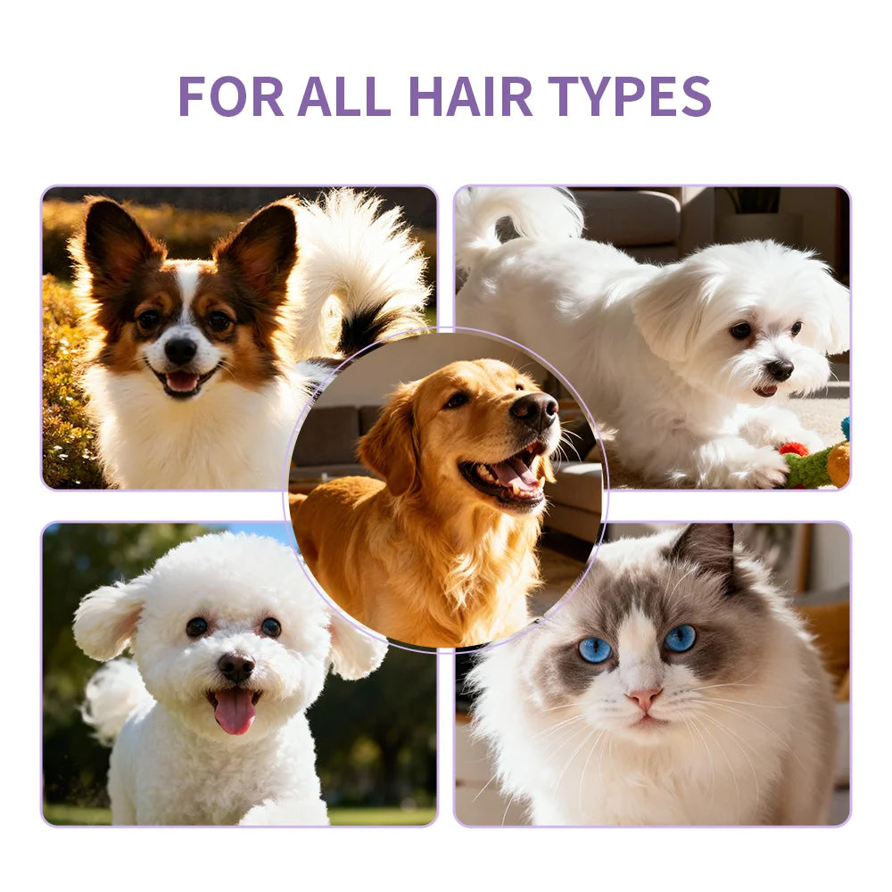 4-in-1 Dog Shampoo and Conditioner 220ml Wash Chamomile Lavender Gentle Formula Soothing Skin Deodorizes Cleanses Dirt Softens