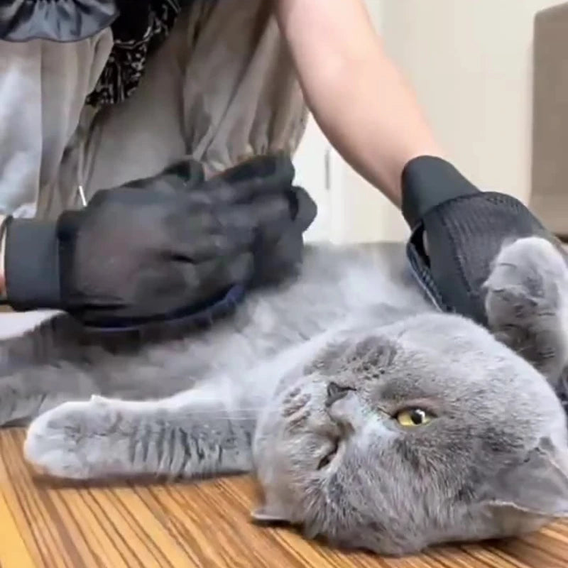 Silicone Pet Grooming Gloves — Hair Removal &amp; Bath Brush Horizon