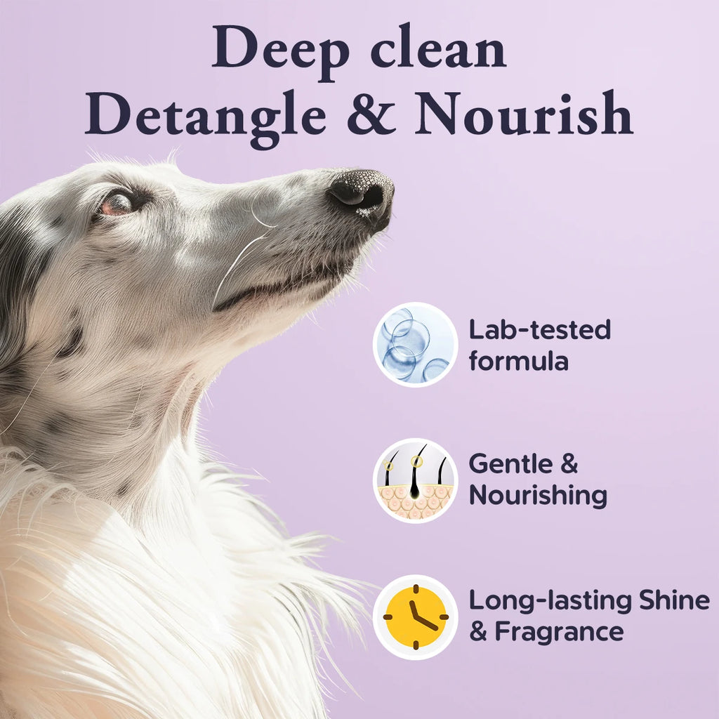 2 In 1 Lavender Dog Shampoo Conditioner Hypoallergenic Soothing Formula Healthy Shiny Coat Gentle Pet Care For Dogs Cats