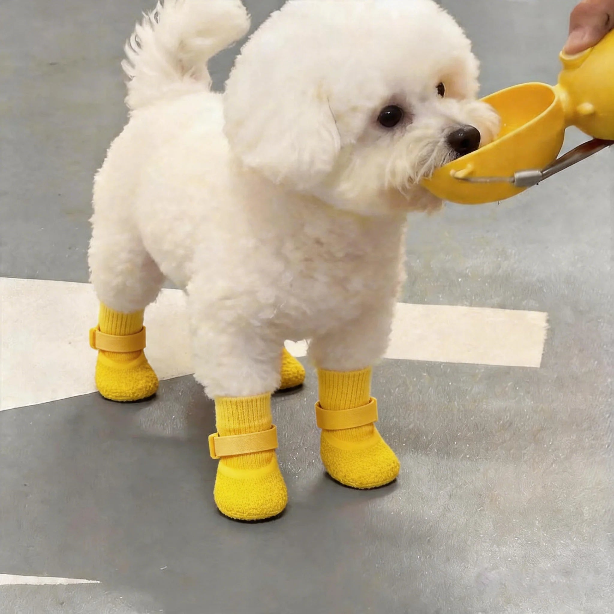 Dogs Anti-Slip Waterproof Soft-Soled Shoes Prevent Falling off Dog Socks for Outdoor Wear Resistant Slip-On Pet Footwear