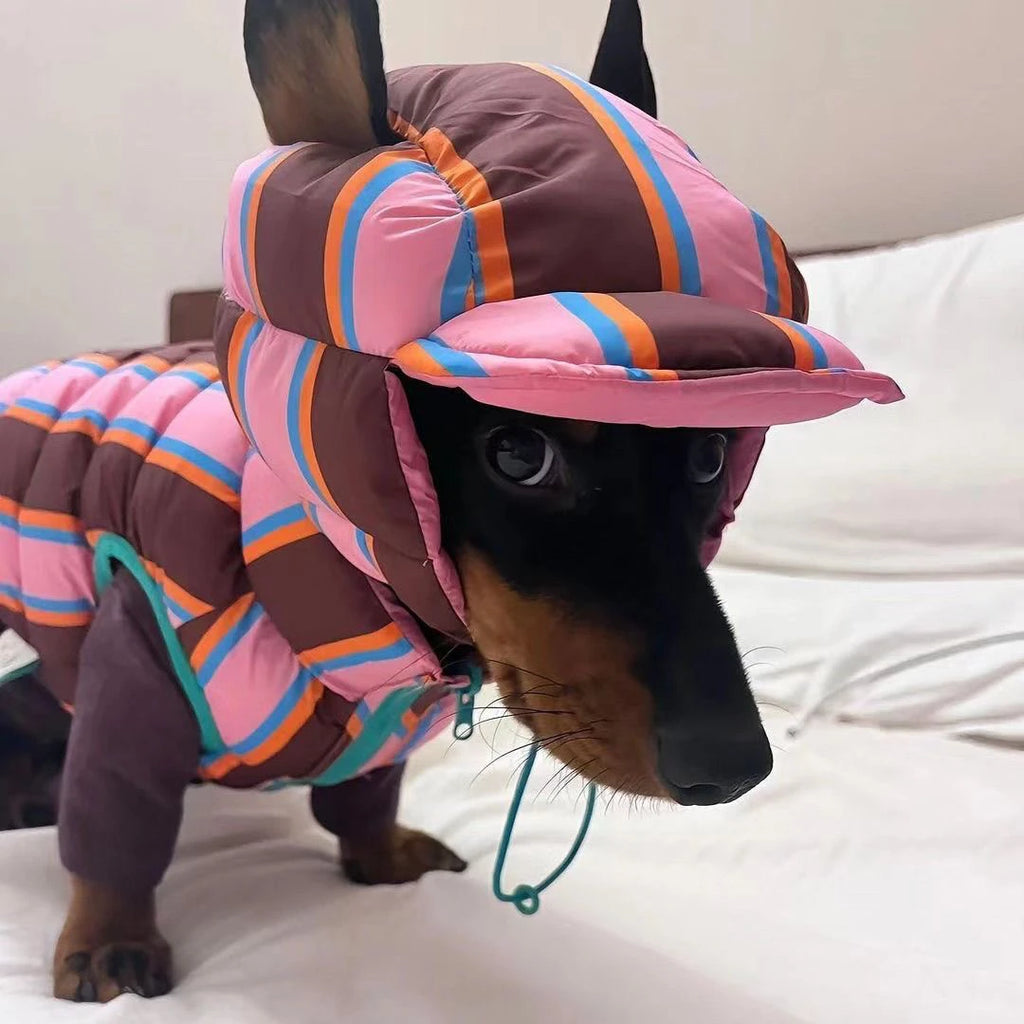 Winter Warm Dog Cotton Coat For Small Medium Puppy Bichon Teddy Rainbow Vest Jacket With Hat Dog Jacket Coat Pet Warm Clothes
