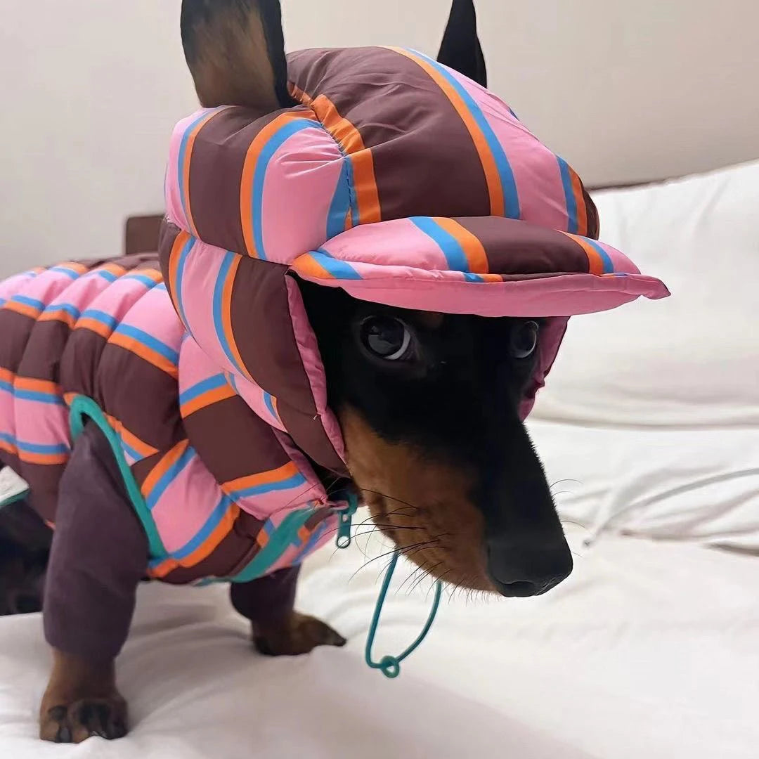 Winter Warm Dog Cotton Coat For Small Medium Puppy Bichon Teddy Rainbow Vest Jacket With Hat Dog Jacket Coat Pet Warm Clothes