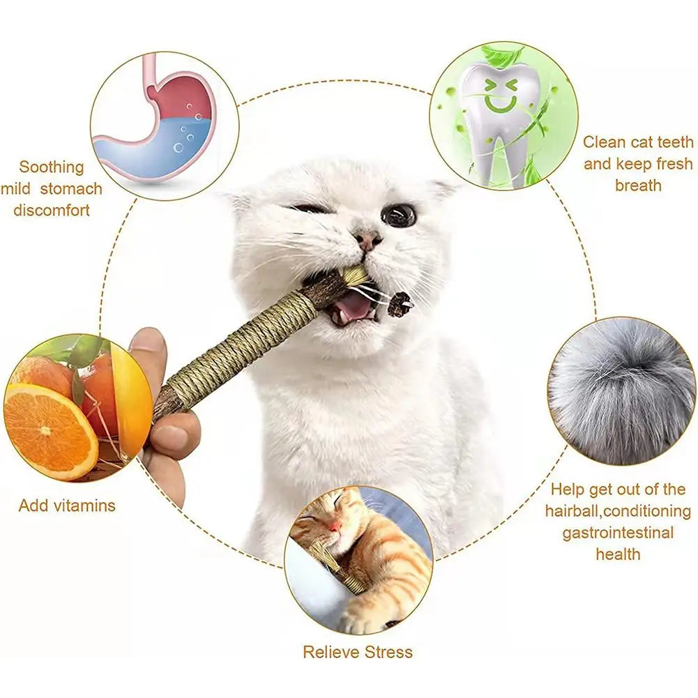 Cat Silver Vine Teeth Grinding Rod Natural Catnip Cat Toy Dental Care Wood Toy For Cat Bite Resistant Tooth Cleaning Supplies