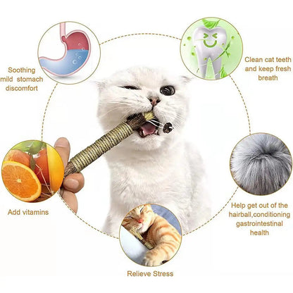 Silver Vine Catnip Teeth Grinding Rod — Natural Cat Dental Toy Horizon