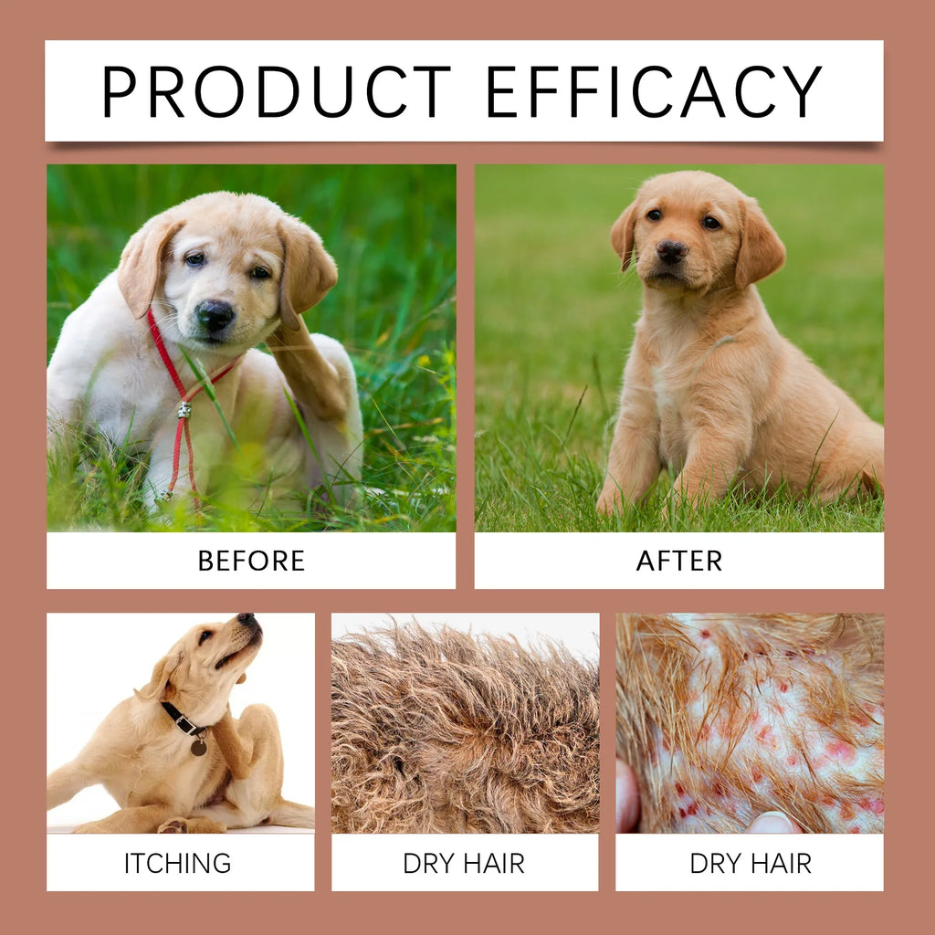 Dog Shampoo Conditioner Moisturizing Anti Itching Flea Tick Removal Deep Clean Nourishing Hair Anti Allergic Dog  Cleaning Foam