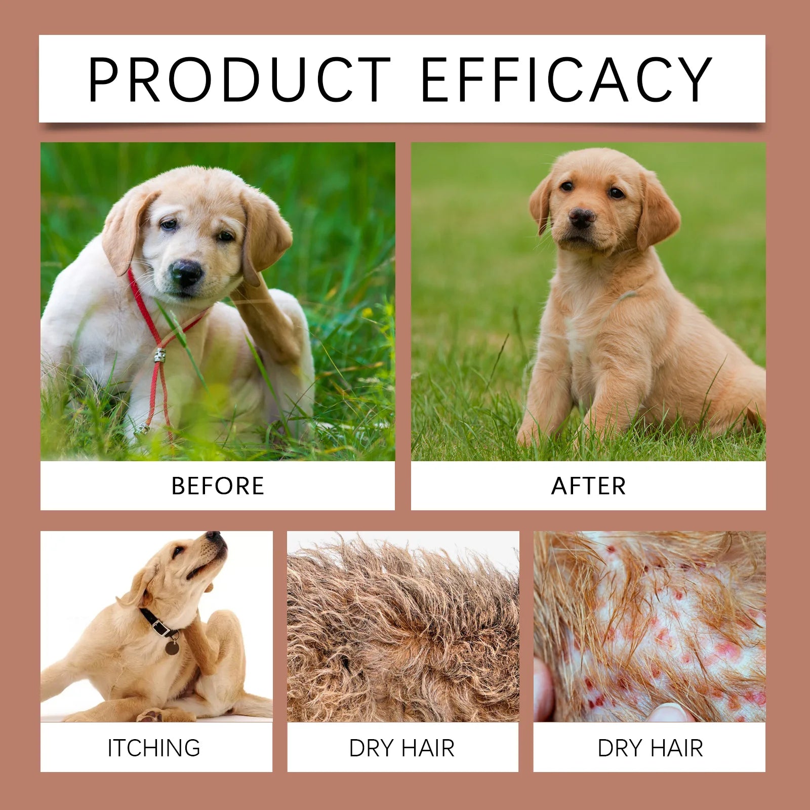 Dog Shampoo Conditioner Moisturizing Anti Itching Flea Tick Removal Deep Clean Nourishing Hair Anti Allergic Dog  Cleaning Foam